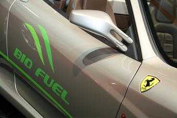 ferrari-ecologico-2.jpg