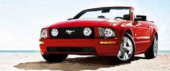 mustang-2.jpg