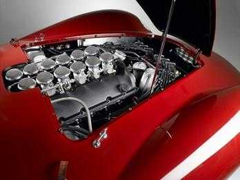 sport-speciale-4.jpg